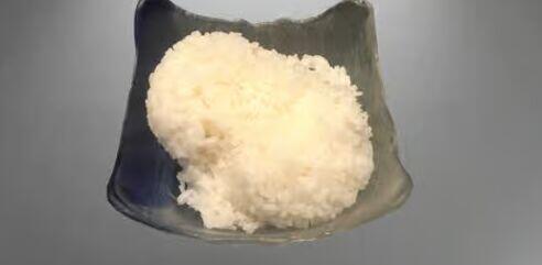 Steam rice or Fried rice