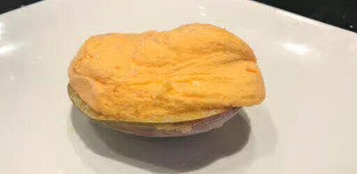Mango Fruit Shell