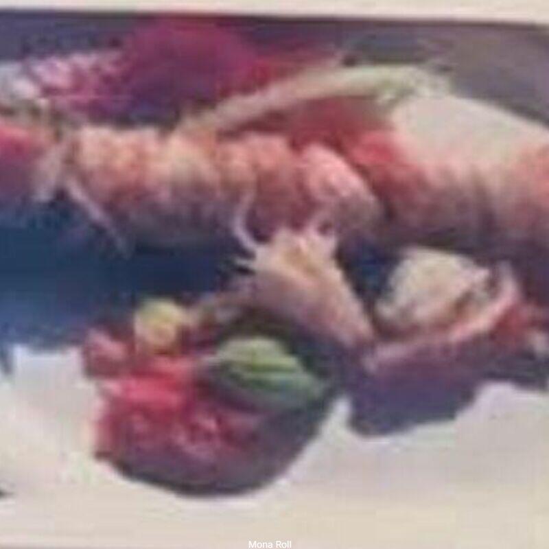 Mona Roll - 6 Pcs